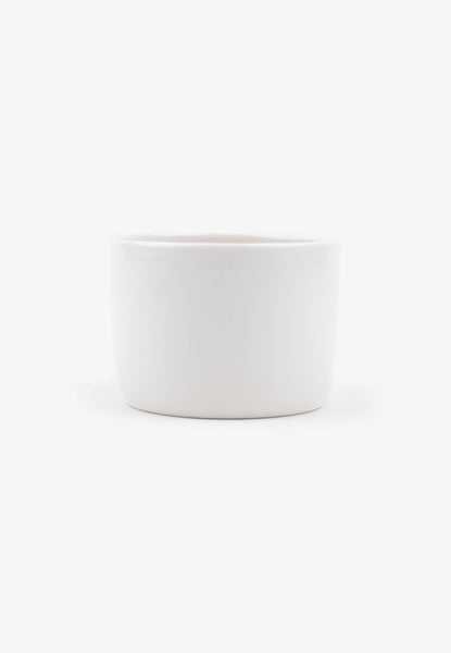 Cappuccino Cup-Maskuma x Solane